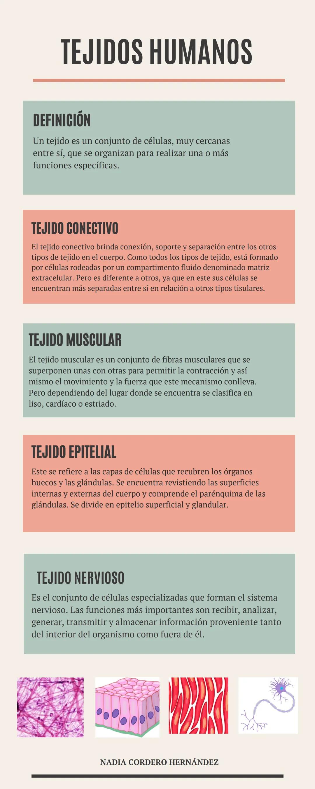 TEJIDOS HUMANOS
DEFINICIÓN
Un tejido es un conjunto de células, muy cercanas
entre sí, que se organizan para realizar una o más
funciones es