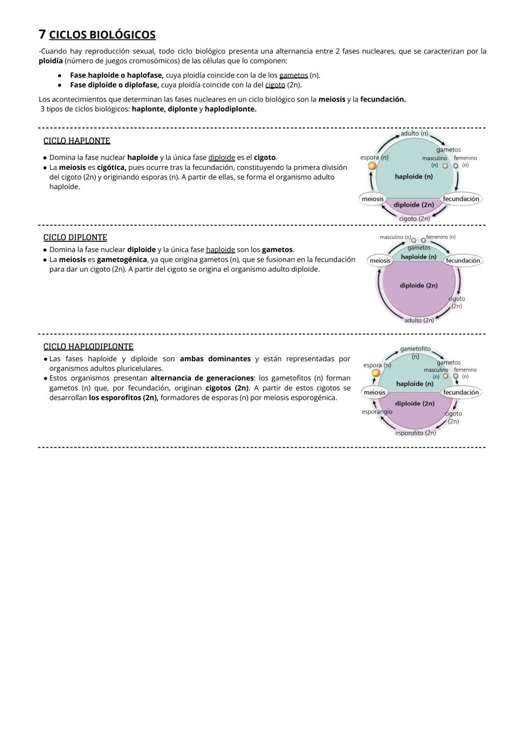 1 CITOPLASMA, CITOSOL Y ORGÁNULOS CELULARES
El citoplasma celular es la región de la célula comprendida entre la membrana plasmática y el nú