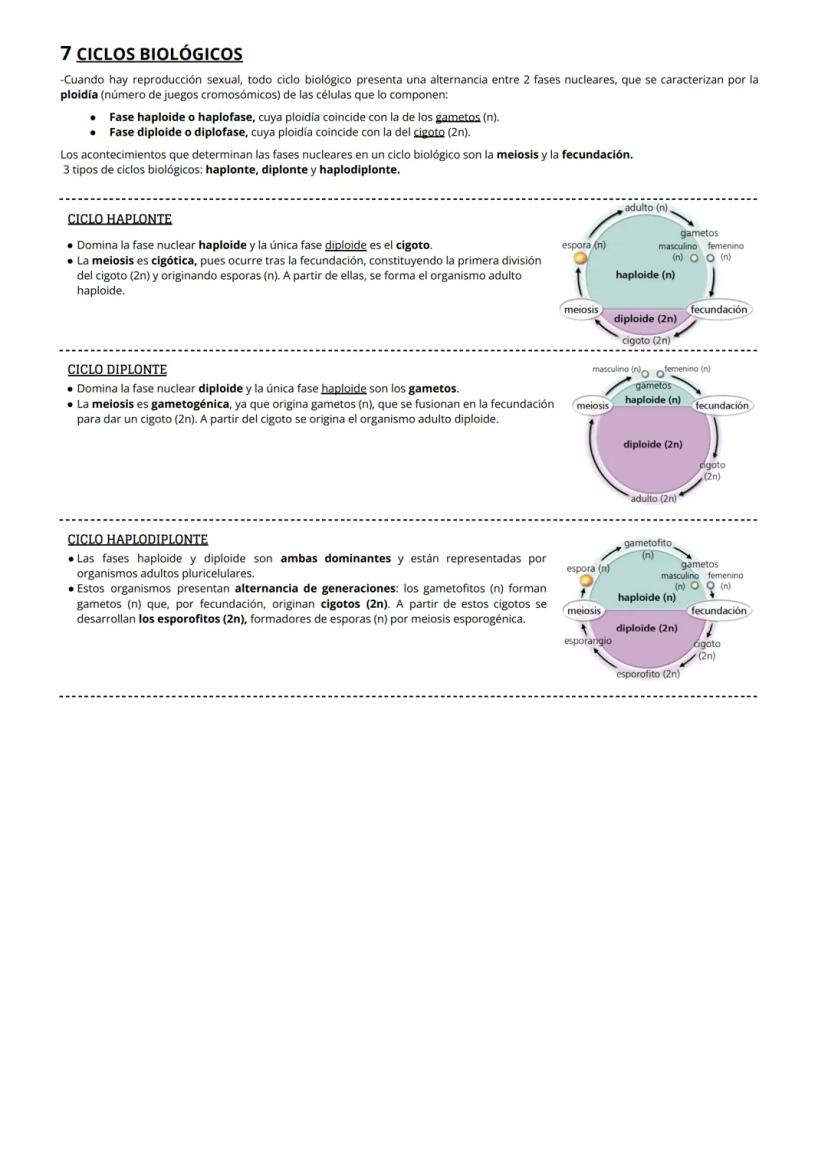 1 CITOPLASMA, CITOSOL Y ORGÁNULOS CELULARES
El citoplasma celular es la región de la célula comprendida entre la membrana plasmática y el nú