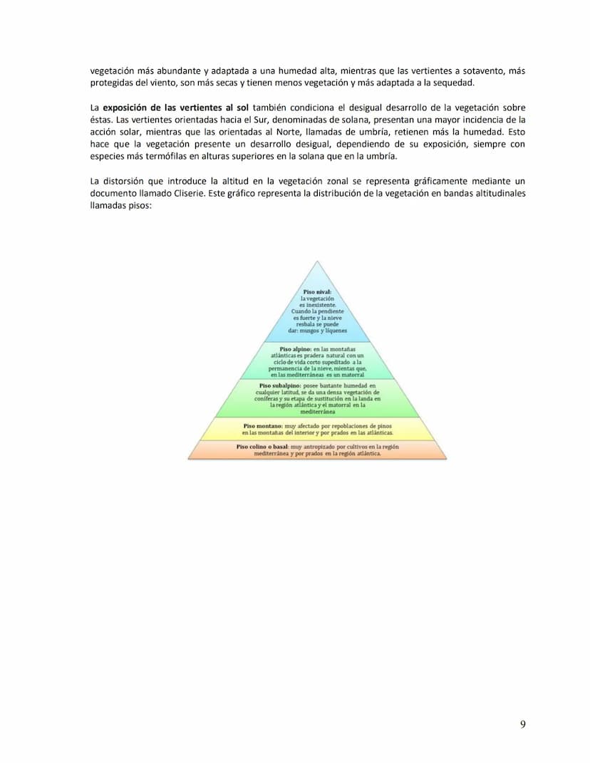 Unidad didáctica VI
1. Los suelos:
a)
b)
c)
d)
e)
2. Vegetación
LOS SUELOS Y LA VEGETACIÓN
Concepto
Origen
Factores de la edafogénesis
Perfi