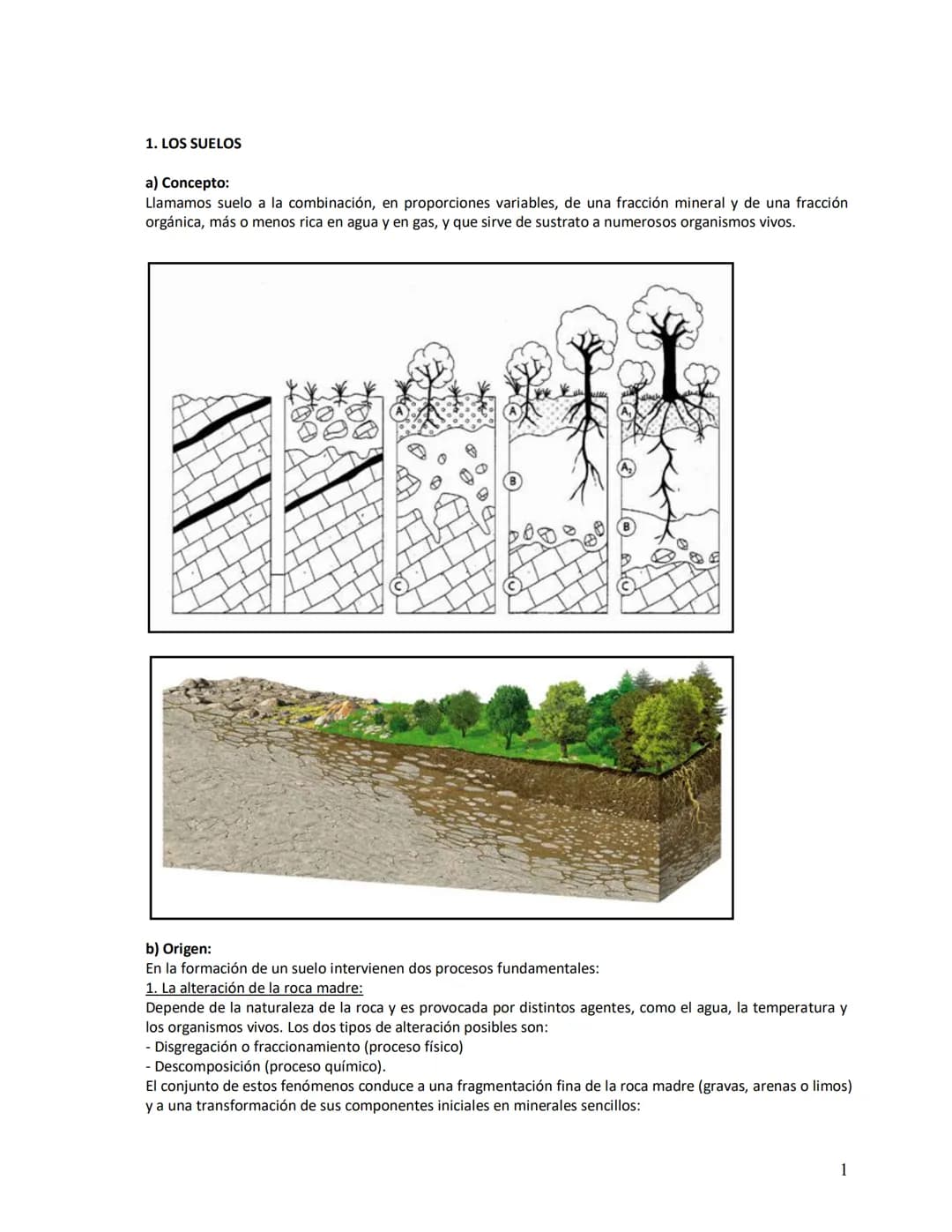 Unidad didáctica VI
1. Los suelos:
a)
b)
c)
d)
e)
2. Vegetación
LOS SUELOS Y LA VEGETACIÓN
Concepto
Origen
Factores de la edafogénesis
Perfi