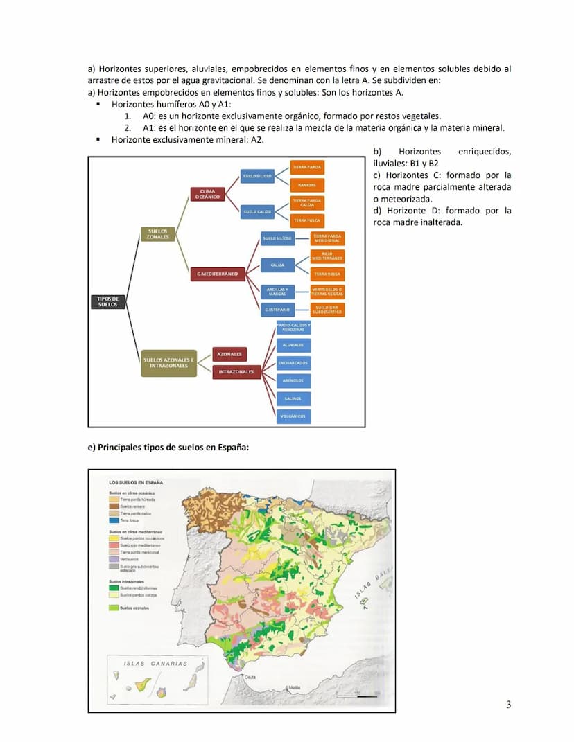 Unidad didáctica VI
1. Los suelos:
a)
b)
c)
d)
e)
2. Vegetación
LOS SUELOS Y LA VEGETACIÓN
Concepto
Origen
Factores de la edafogénesis
Perfi
