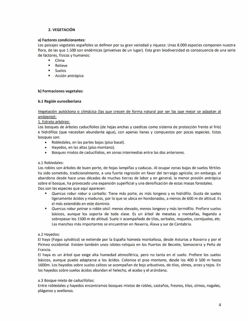 Unidad didáctica VI
1. Los suelos:
a)
b)
c)
d)
e)
2. Vegetación
LOS SUELOS Y LA VEGETACIÓN
Concepto
Origen
Factores de la edafogénesis
Perfi