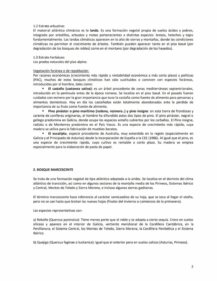 Unidad didáctica VI
1. Los suelos:
a)
b)
c)
d)
e)
2. Vegetación
LOS SUELOS Y LA VEGETACIÓN
Concepto
Origen
Factores de la edafogénesis
Perfi