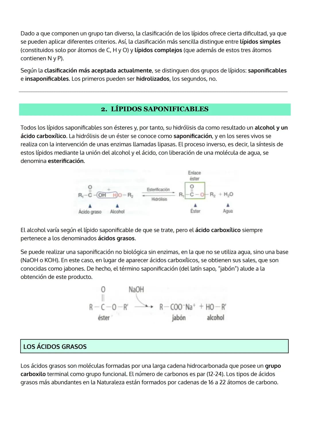 TEMA 3
LOS LÍPIDOS
1. Características generales y clasificación de los lípidos
2. Lípidos saponificables, clasificación:
a. Grasas (acilglic