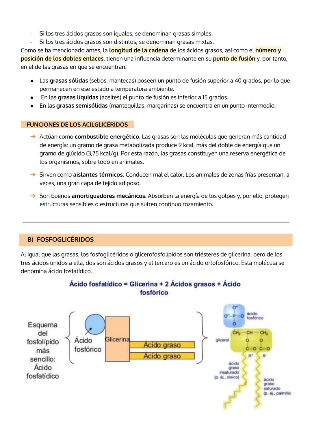 TEMA 3
LOS LÍPIDOS
1. Características generales y clasificación de los lípidos
2. Lípidos saponificables, clasificación:
a. Grasas (acilglic