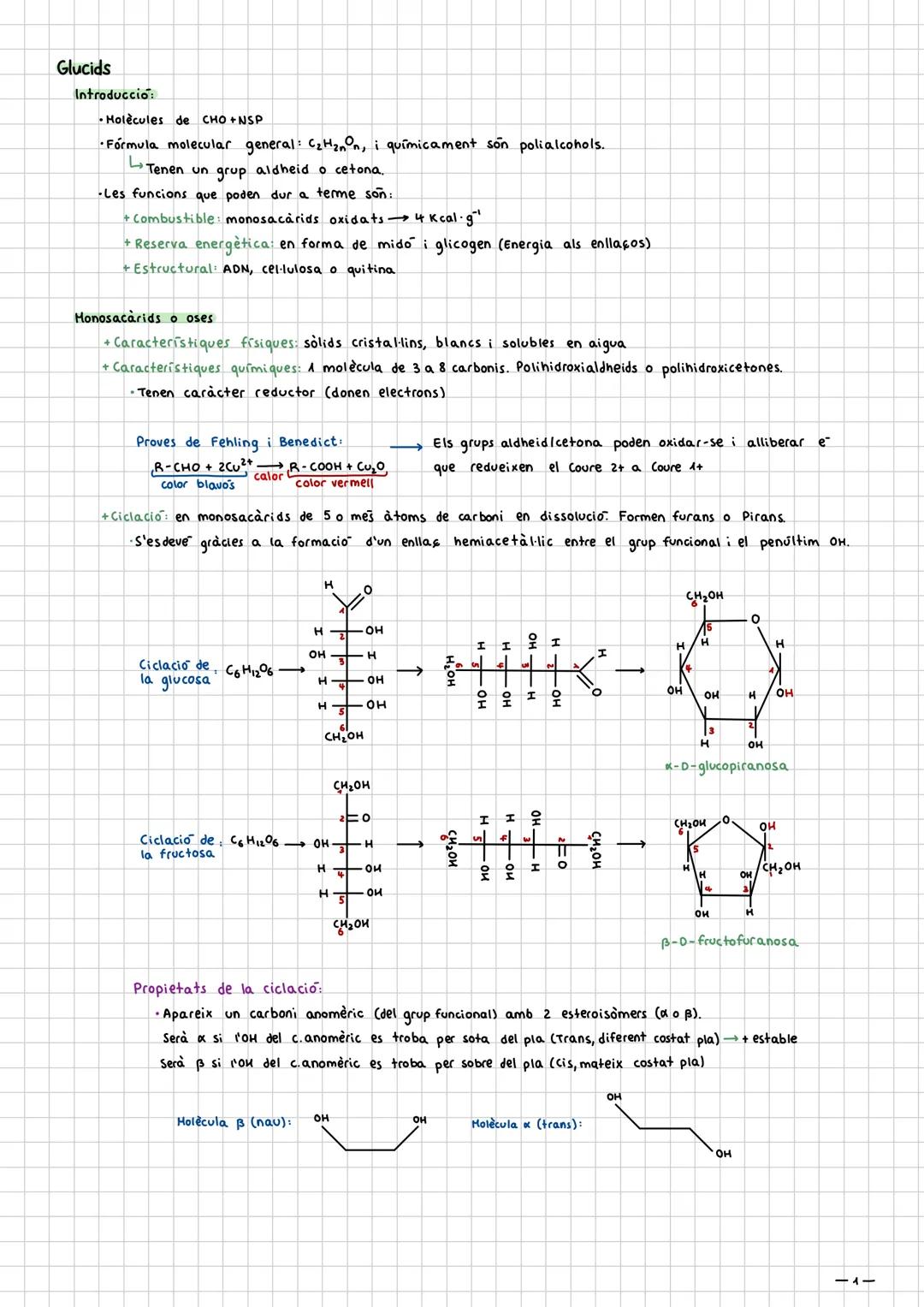 Glucids

Introducció:

- Holècules de CHO+NSP

- Fórmula molecular general: C₂HₙOₙ, i químicament son polialcohols.

- Tenen un grup aldheid