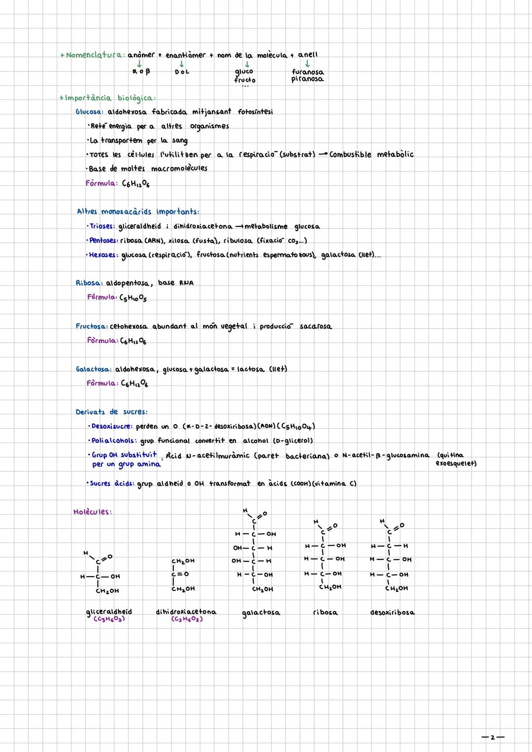 Glucids

Introducció:

- Holècules de CHO+NSP

- Fórmula molecular general: C₂HₙOₙ, i químicament son polialcohols.

- Tenen un grup aldheid