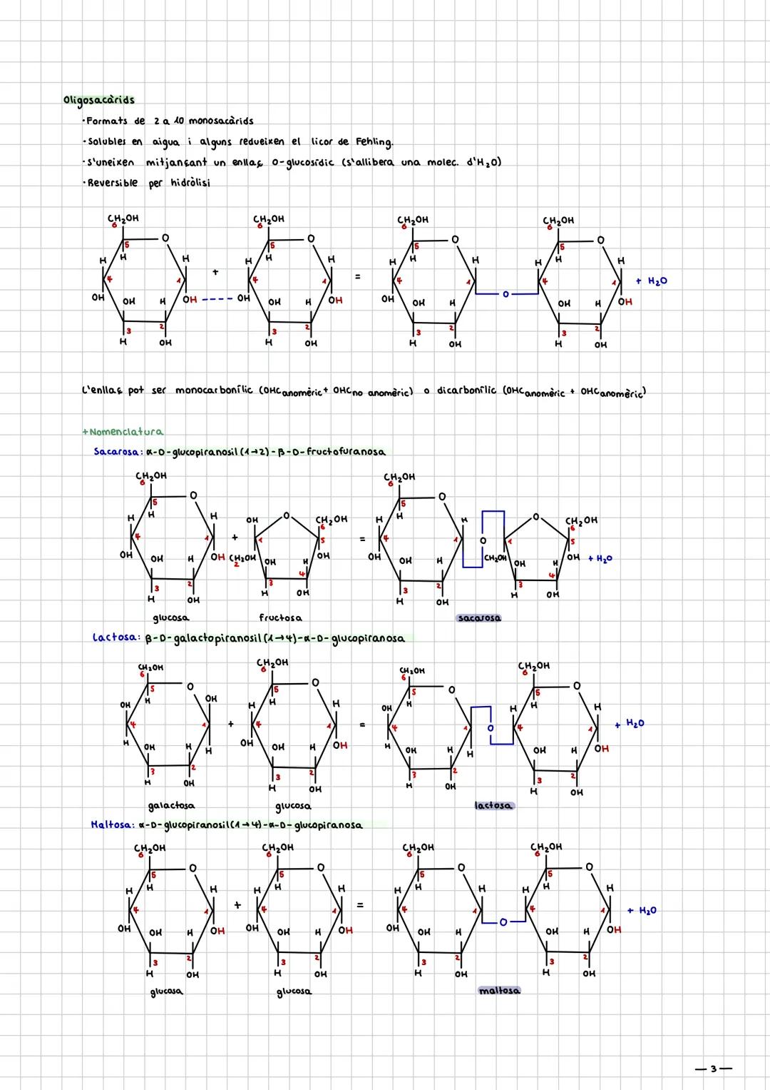 Glucids

Introducció:

- Holècules de CHO+NSP

- Fórmula molecular general: C₂HₙOₙ, i químicament son polialcohols.

- Tenen un grup aldheid
