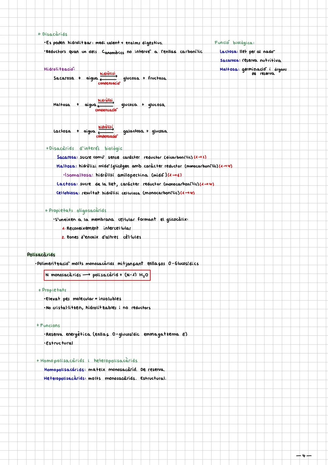 Glucids

Introducció:

- Holècules de CHO+NSP

- Fórmula molecular general: C₂HₙOₙ, i químicament son polialcohols.

- Tenen un grup aldheid
