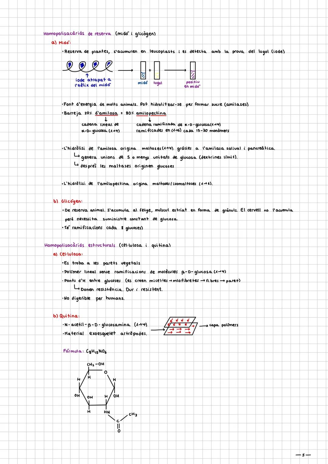 Glucids

Introducció:

- Holècules de CHO+NSP

- Fórmula molecular general: C₂HₙOₙ, i químicament son polialcohols.

- Tenen un grup aldheid