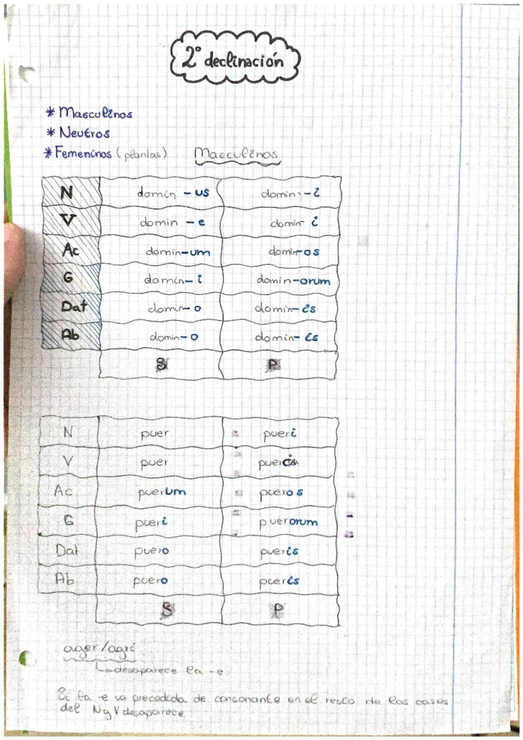 *Masculinos
* Neutros
*Femeninos (planlat)
N
Ac
Dat
Ab
N
Ac
G
Dal
Ab
domin
ager/agre
2 declinacion
domine
domin-um
Masculinos
-Us
do min-t
8