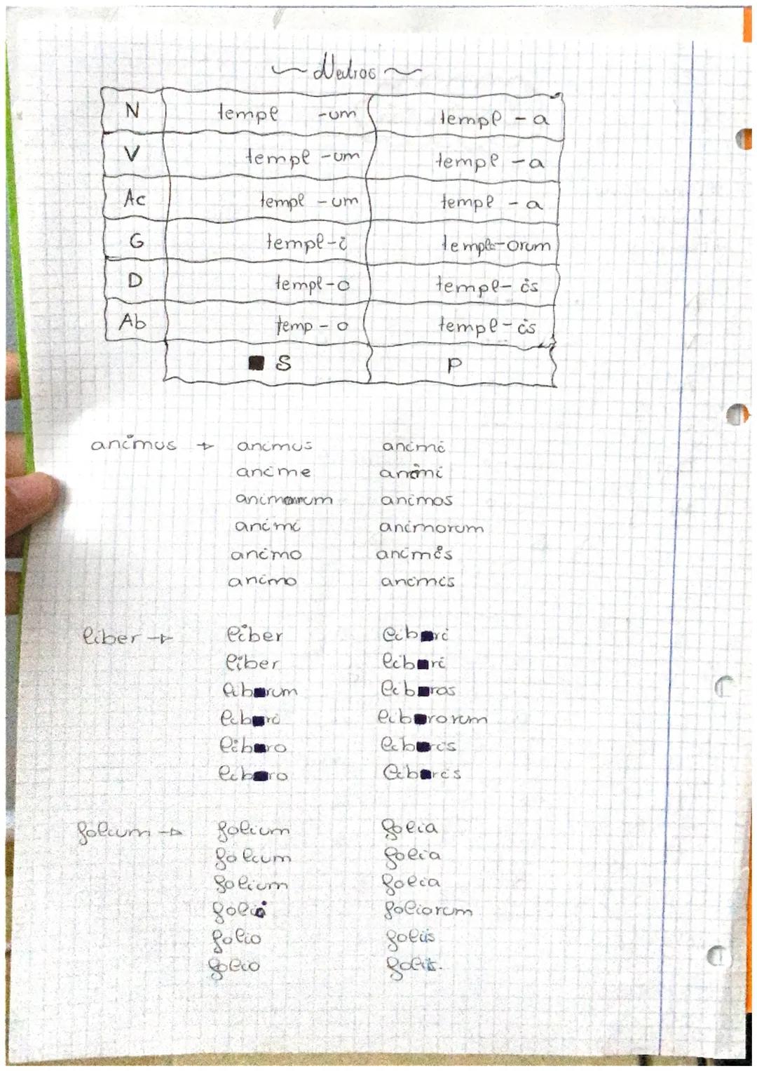 *Masculinos
* Neutros
*Femeninos (planlat)
N
Ac
Dat
Ab
N
Ac
G
Dal
Ab
domin
ager/agre
2 declinacion
domine
domin-um
Masculinos
-Us
do min-t
8