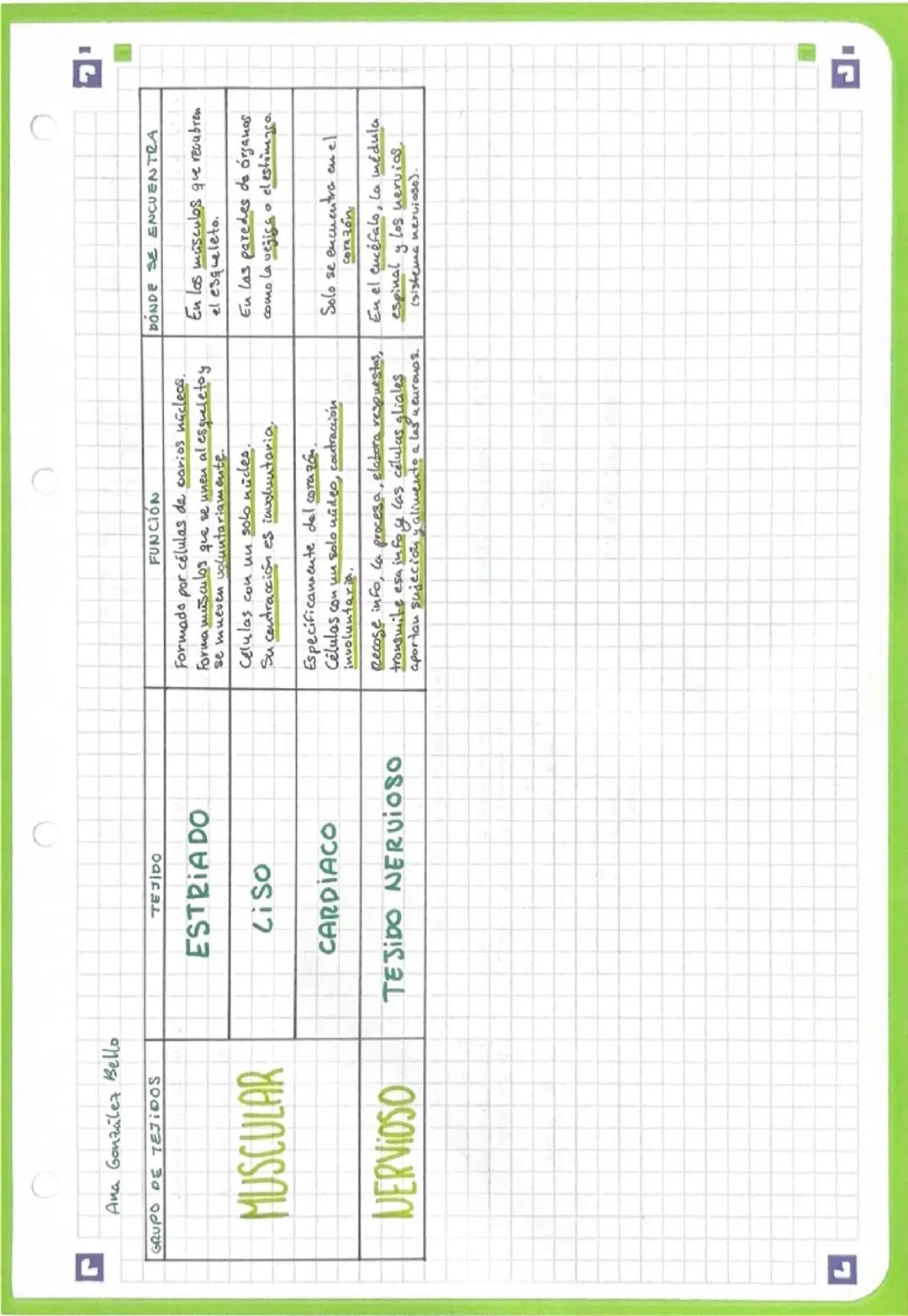 r
Ana González Bello

# TABLA DE TEJIDOS DEL CUERPO

L

| GRUPO DE TEJIDOS | TESIDO | FUNCION | DONDE SE ENCUENTRA |
|---|---|---|---|
| EPI