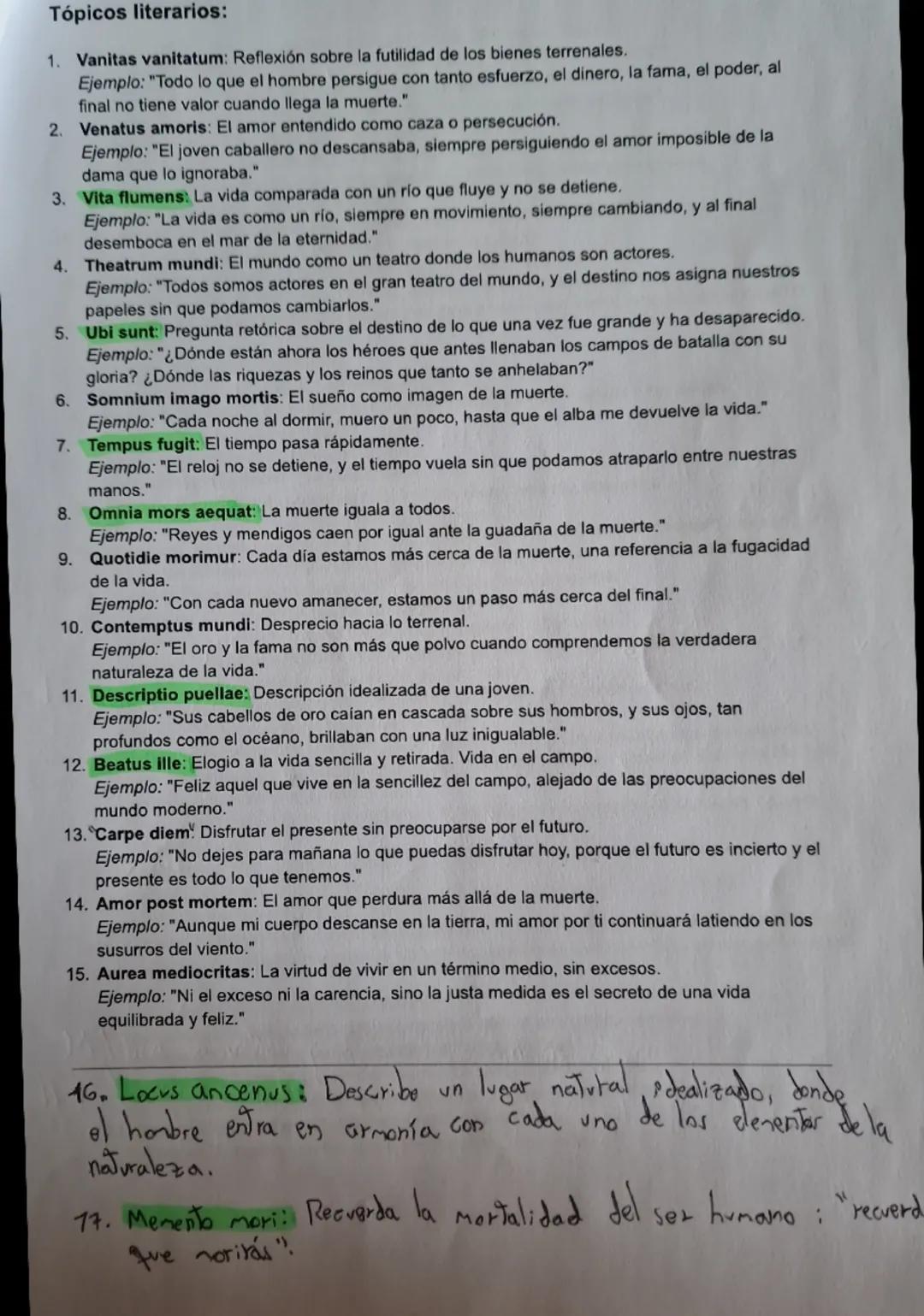 Tópicos literarios:
1. Vanitas vanitatum: Reflexión sobre la futilidad de los bienes terrenales.
Ejemplo: "Todo lo que el hombre persigue co