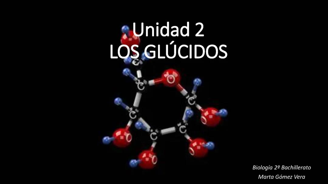 TEMA 2 BIOLOGÍA. LOS GLÚCIDOS.