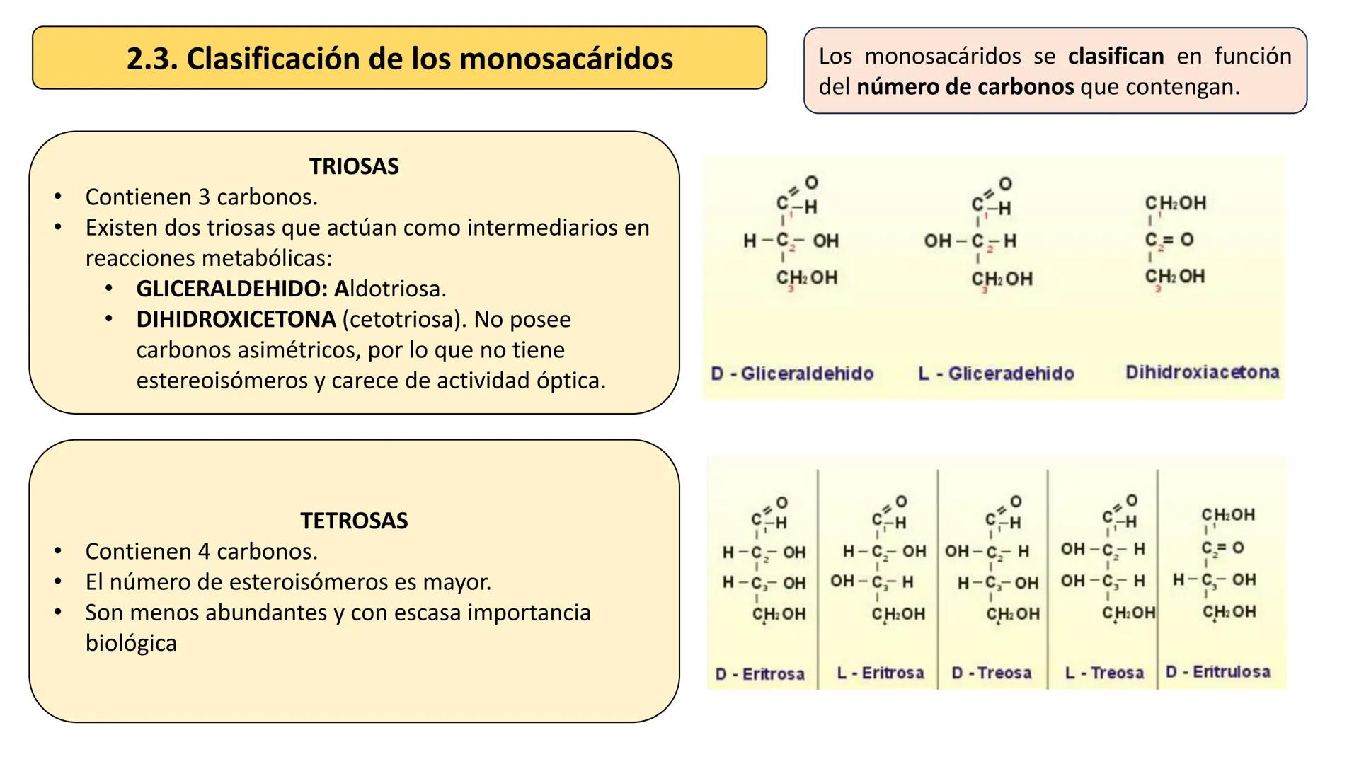 Unidad 2
LOS GLÚCIDOS
ง
Biología 2º Bachillerato
Marta Gómez Vera ÍNDICE
1. Características generales y clasificación.
2. Monosacáridos.
1.
