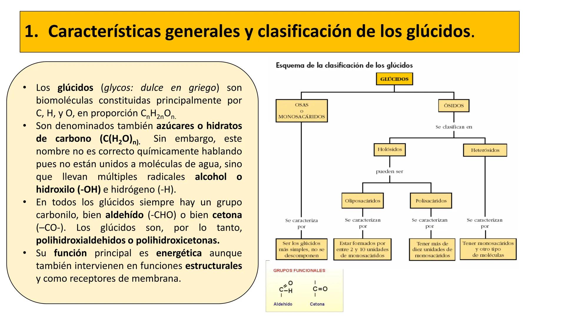 Unidad 2
LOS GLÚCIDOS
ง
Biología 2º Bachillerato
Marta Gómez Vera ÍNDICE
1. Características generales y clasificación.
2. Monosacáridos.
1.
