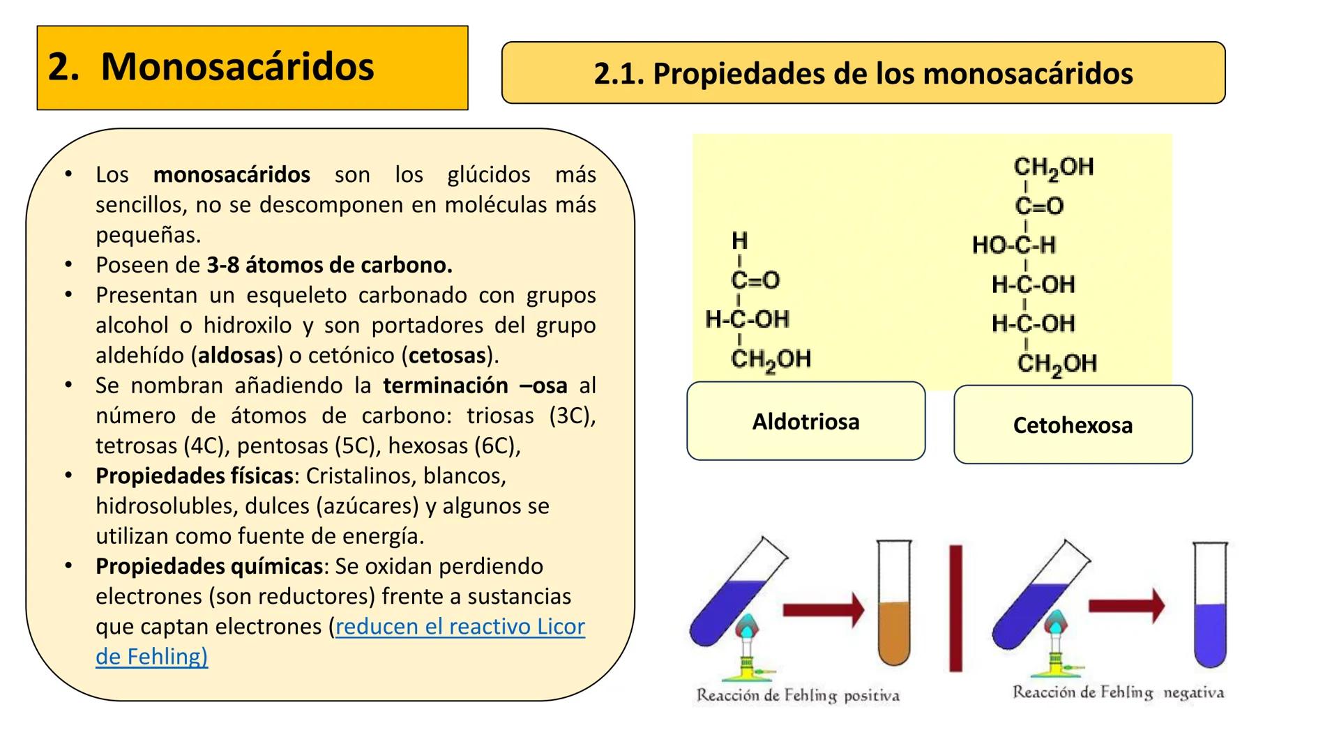 Unidad 2
LOS GLÚCIDOS
ง
Biología 2º Bachillerato
Marta Gómez Vera ÍNDICE
1. Características generales y clasificación.
2. Monosacáridos.
1.
