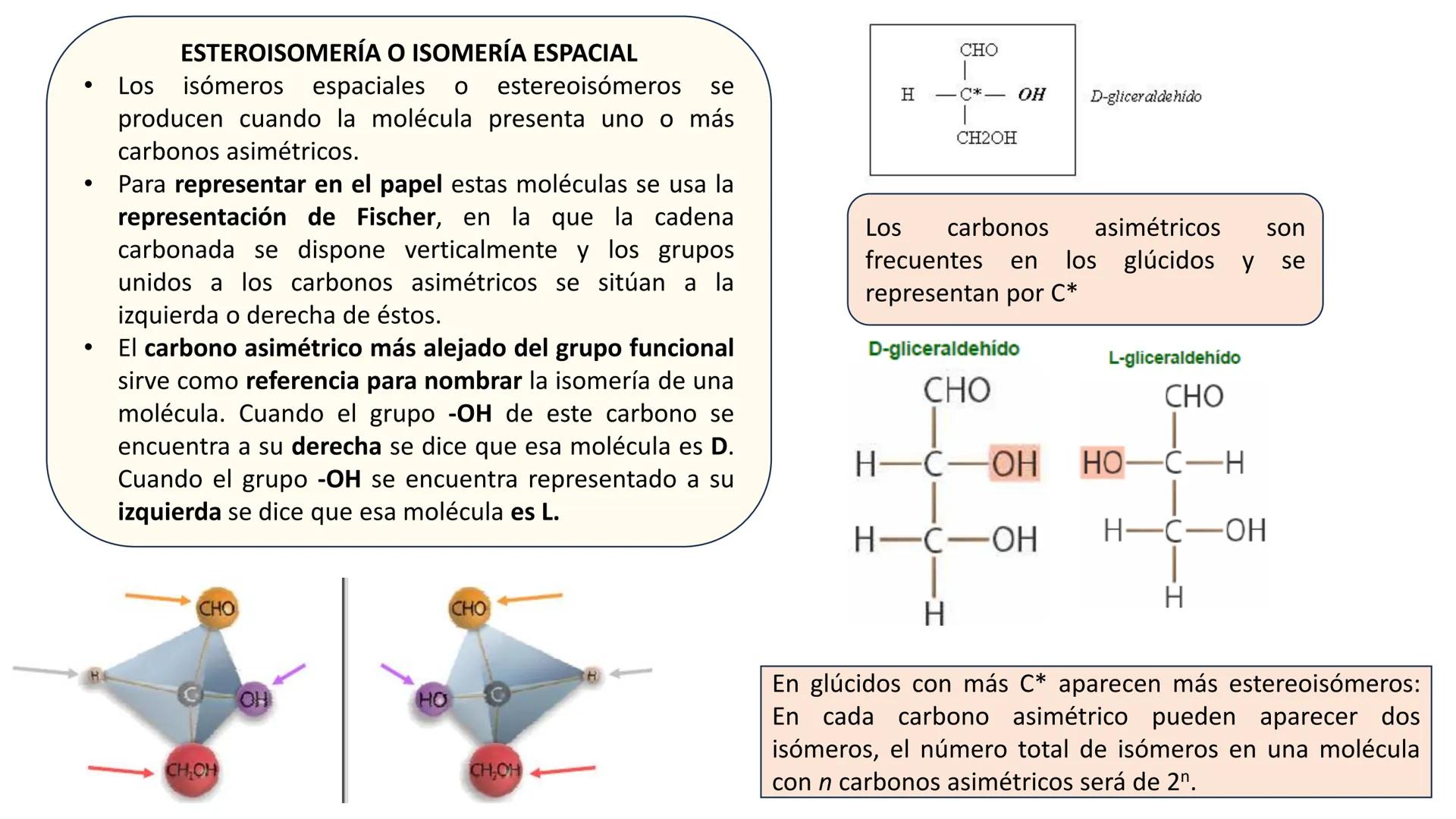 Unidad 2
LOS GLÚCIDOS
ง
Biología 2º Bachillerato
Marta Gómez Vera ÍNDICE
1. Características generales y clasificación.
2. Monosacáridos.
1.
