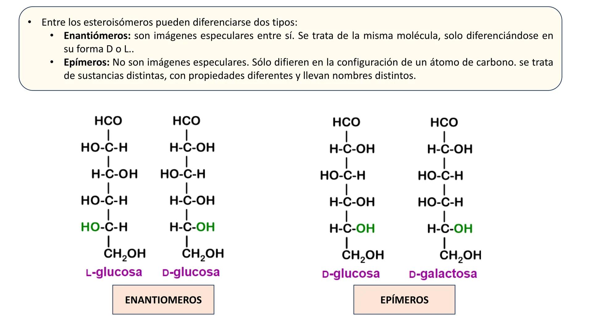 Unidad 2
LOS GLÚCIDOS
ง
Biología 2º Bachillerato
Marta Gómez Vera ÍNDICE
1. Características generales y clasificación.
2. Monosacáridos.
1.
