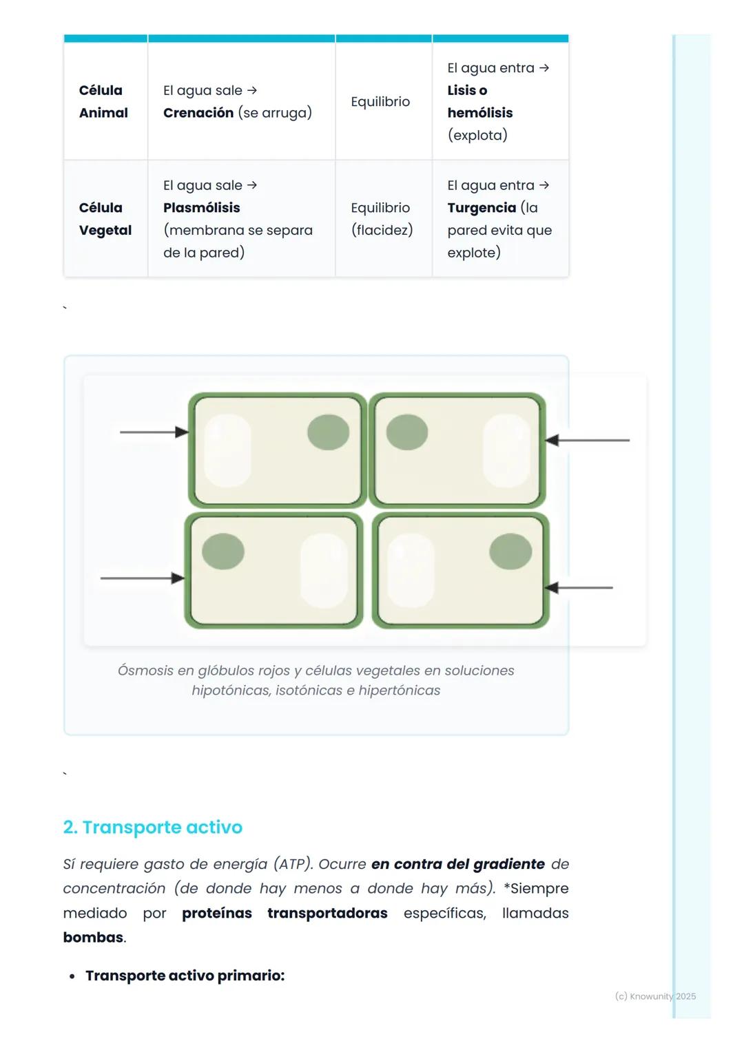 # Membrana Plasmática y
Transporte Celular

La membrana plasmática: la frontera celular

La membrana plasmática es la estructura que delimit