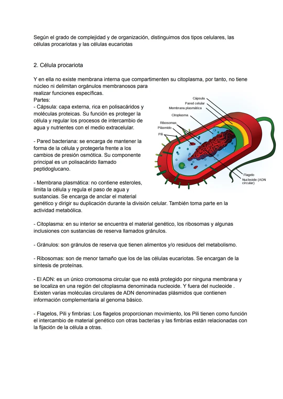 Tema 4: Estructura de la célula
La teoría celular
Las primeras observaciones de las células se produjeron en el siglo XVII. En 1838 Matthias