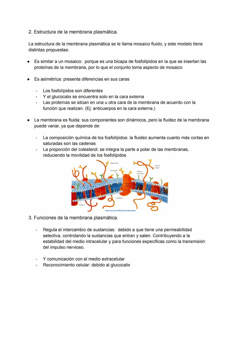 Tema 4: Estructura de la célula
La teoría celular
Las primeras observaciones de las células se produjeron en el siglo XVII. En 1838 Matthias