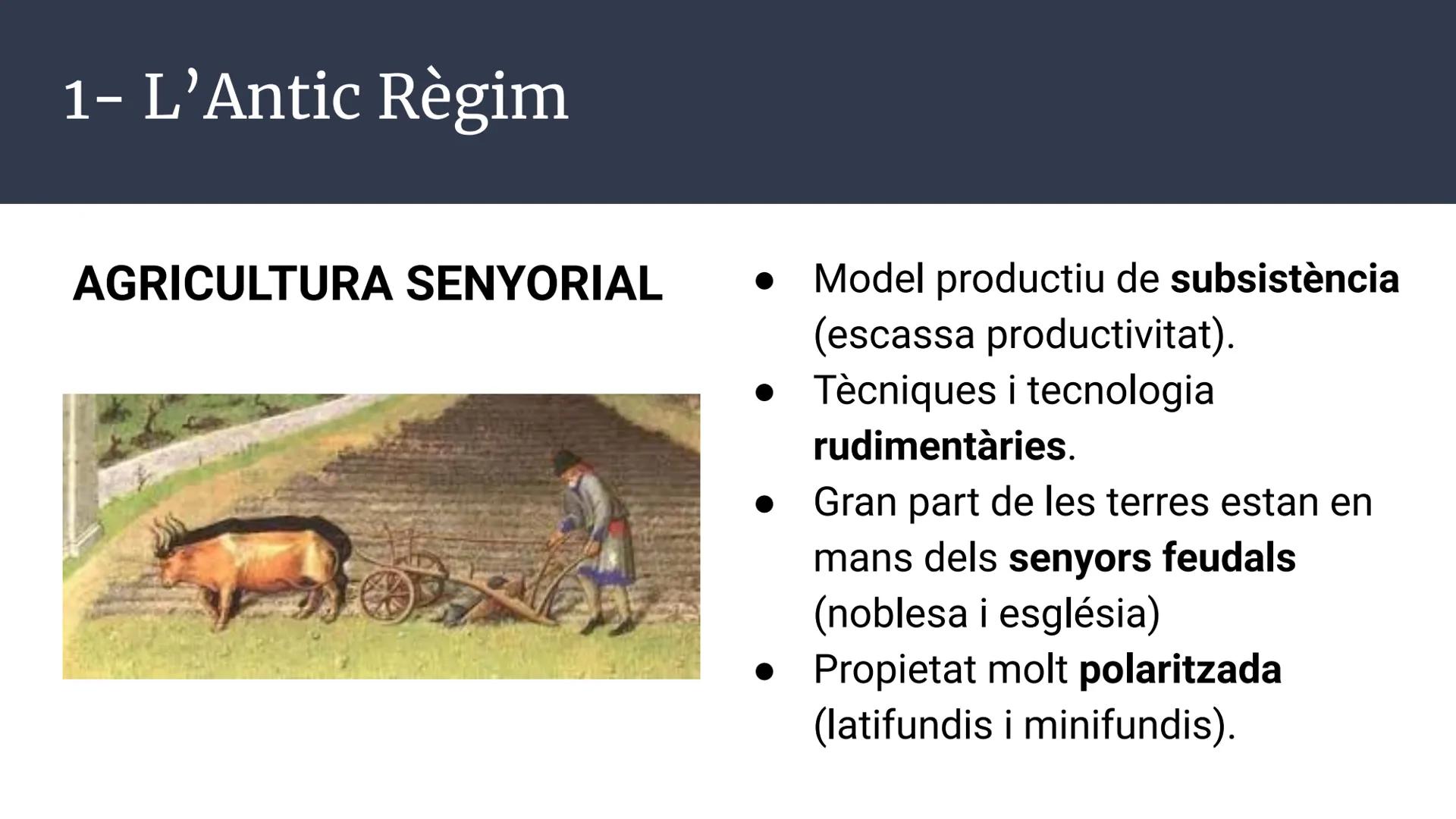 NUEVA PLANTA

Unitat 1.
DE LA
REAL AUDIENCIA
Espanya i Catalunya
PRINCIPADO
als segles XVIII-XIX
CATALUNA,
ESTABLECIDA
SU MAGESTAL
Història 