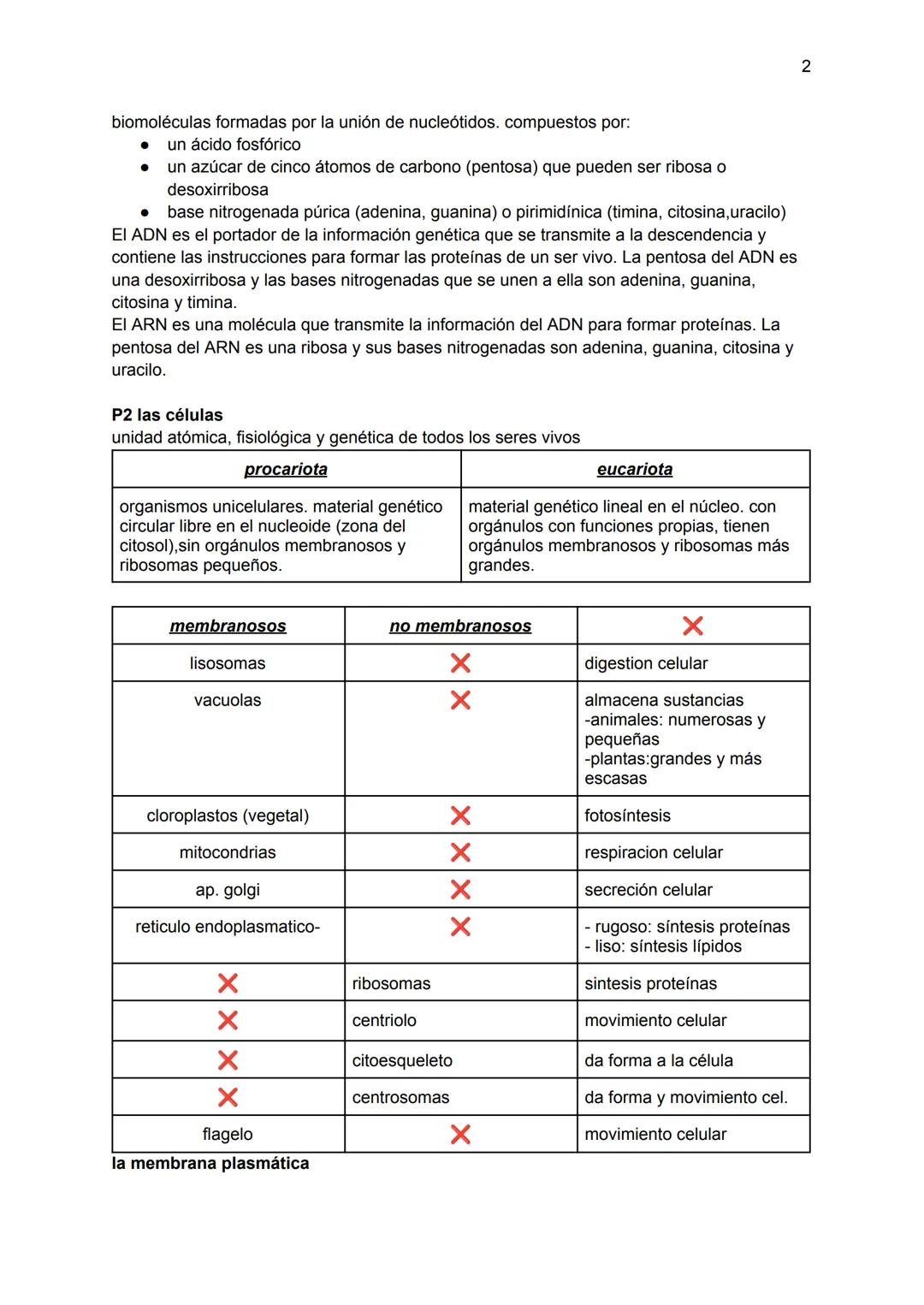# Tema 1 biología: la especialización celular
P1: la base química de los seres vivos

- bioelementos primarios: 96% total de la materia viva