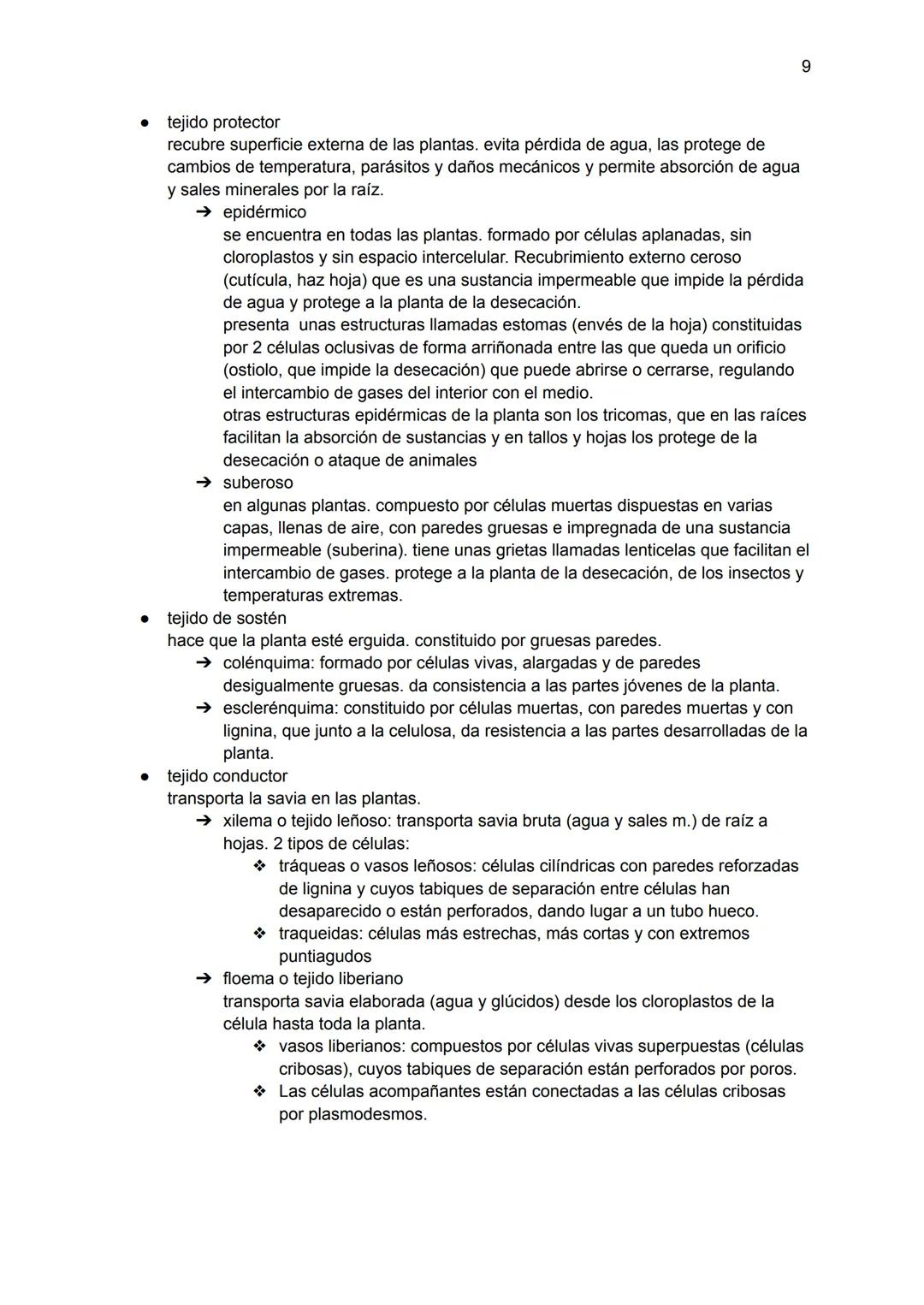 # Tema 1 biología: la especialización celular
P1: la base química de los seres vivos

- bioelementos primarios: 96% total de la materia viva