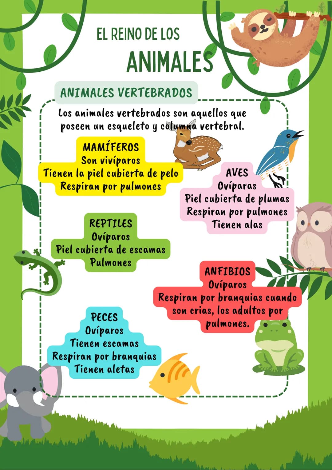 EL REINO DE LOS
ANIMALES
ANIMALES VERTEBRADOS
Los animales vertebrados son aquellos que
poseen un esqueleto y columna vertebral.
MAMÍFEROS
S
