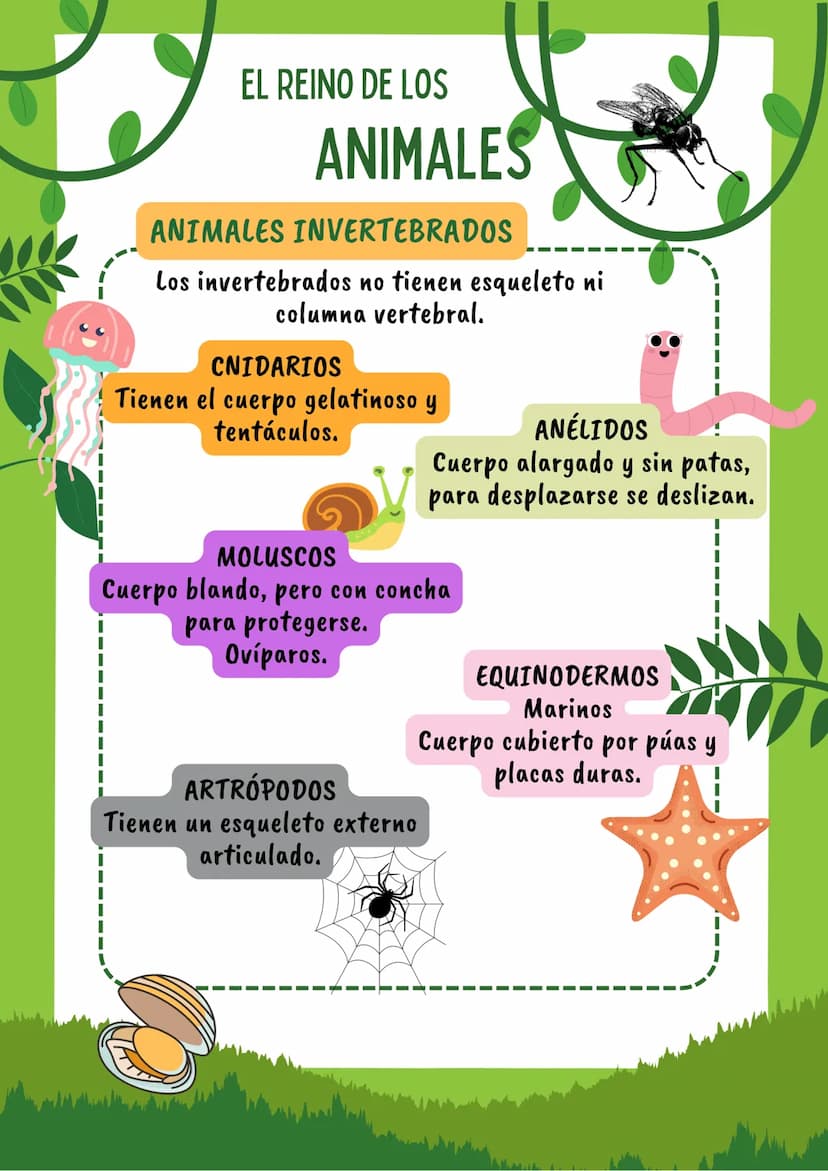 EL REINO DE LOS
ANIMALES
ANIMALES VERTEBRADOS
Los animales vertebrados son aquellos que
poseen un esqueleto y columna vertebral.
MAMÍFEROS
S