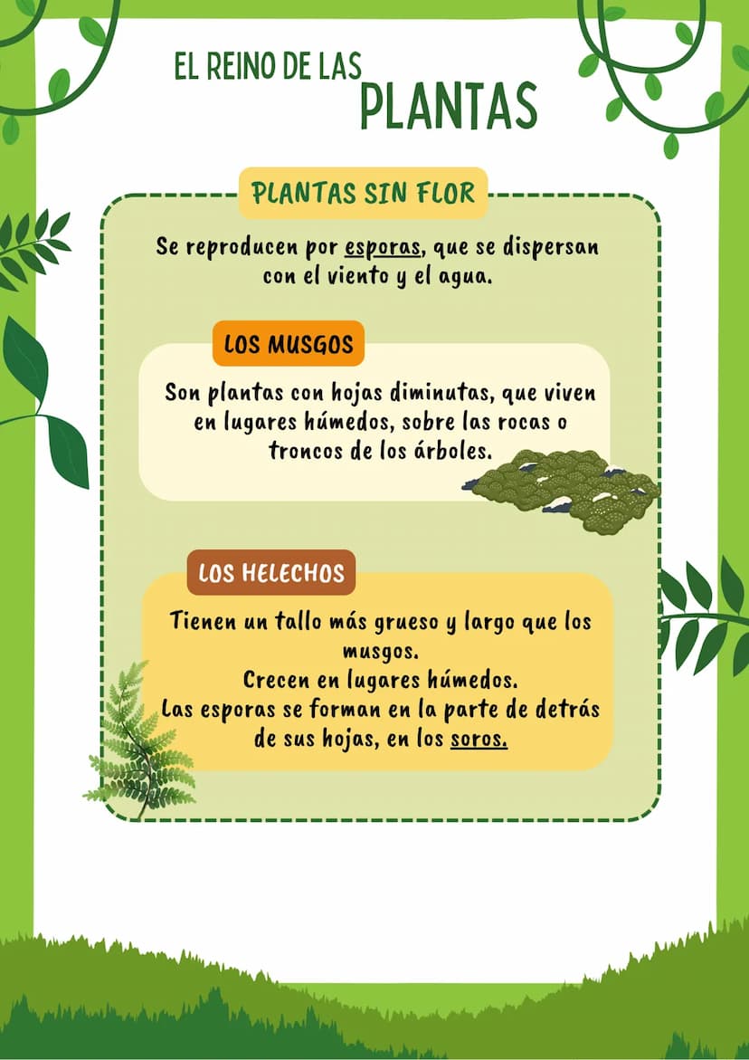 EL REINO DE LOS
ANIMALES
ANIMALES VERTEBRADOS
Los animales vertebrados son aquellos que
poseen un esqueleto y columna vertebral.
MAMÍFEROS
S