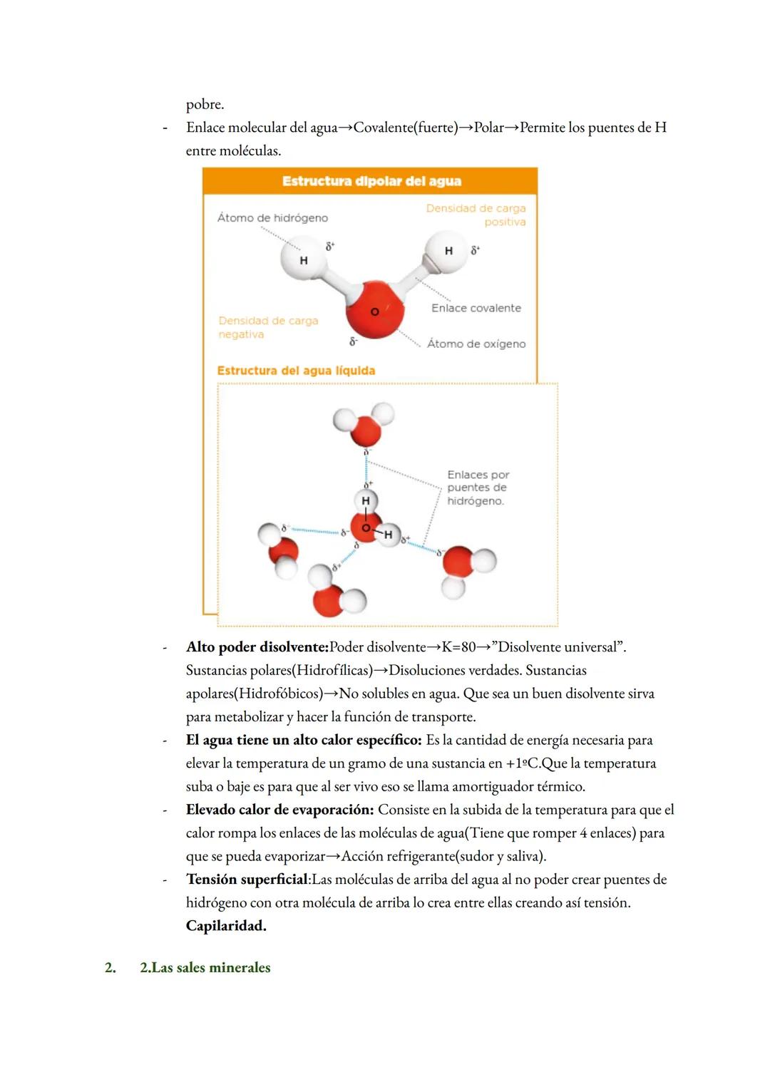 Tema 1:La base molecular de la vida
1. La composición de la materia de la vida
1. 1. Característica de la vida
1.
Está formado por células
C