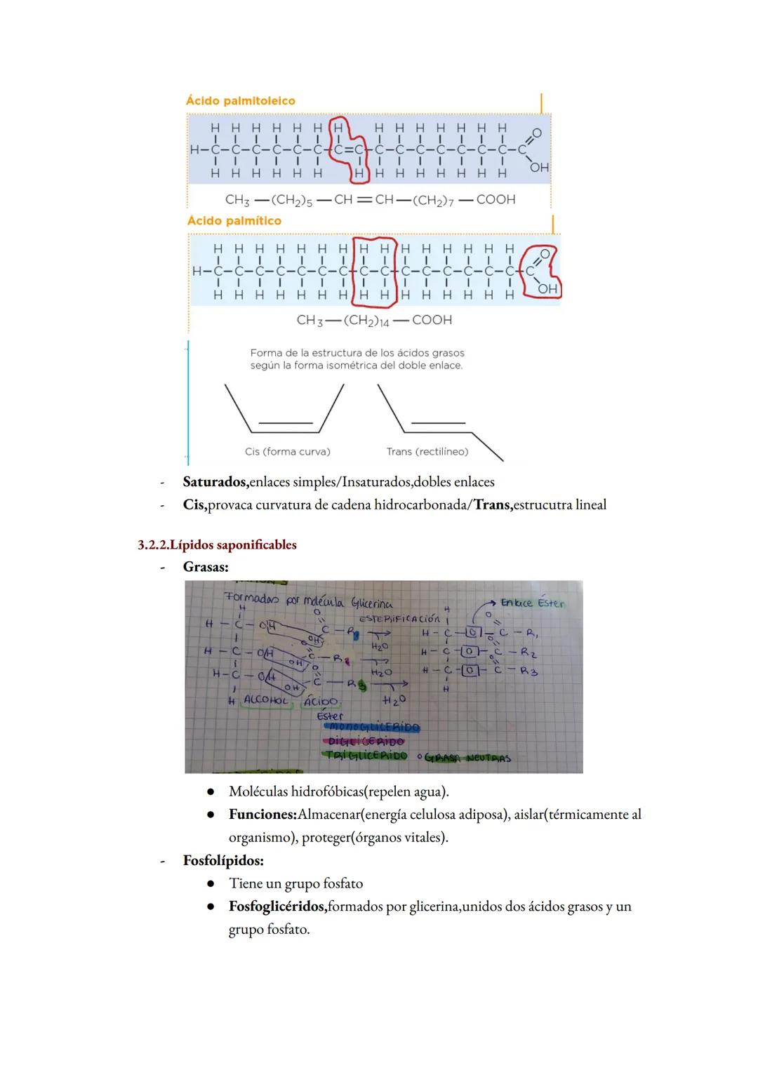 Tema 1:La base molecular de la vida
1. La composición de la materia de la vida
1. 1. Característica de la vida
1.
Está formado por células
C