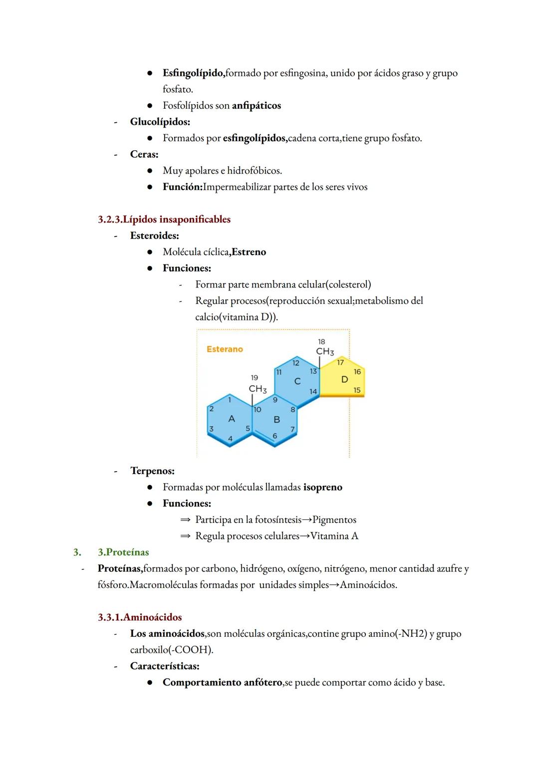 Tema 1:La base molecular de la vida
1. La composición de la materia de la vida
1. 1. Característica de la vida
1.
Está formado por células
C