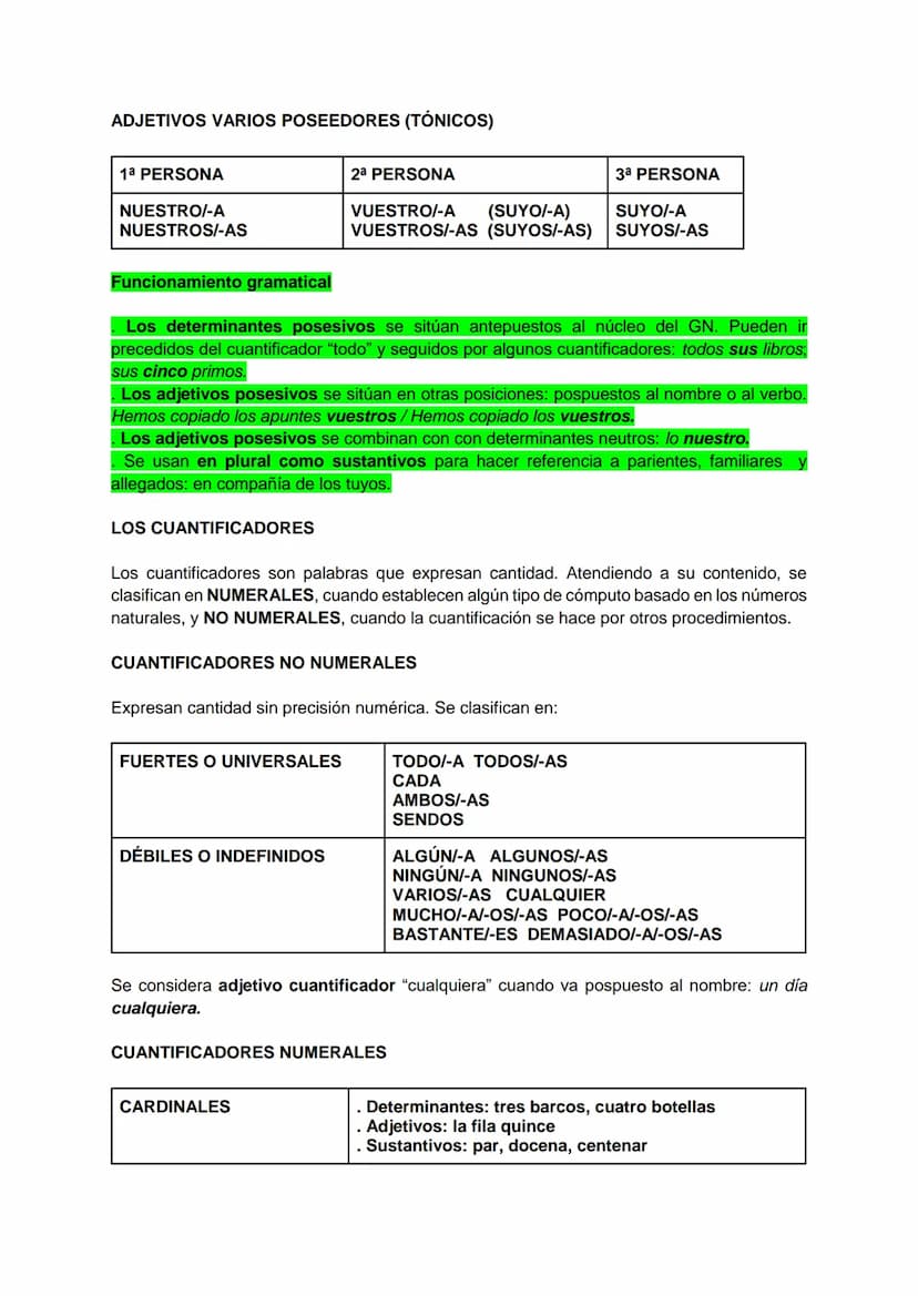 
<h2 id="elsustantivo">EL SUSTANTIVO</h2>
<p>El sustantivo es una categoría léxica que se define en función de criterios morfológicos, sintá