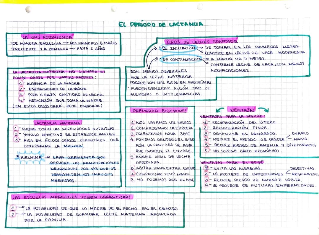 Descubre el Permiso de Lactancia 2023 y 2024: ¡Beneficios para Papás y Mamás!
