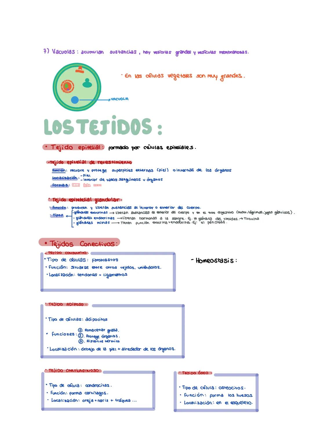 unidad 2. Las células

26/10/2023

# La Célula; ud. 2:

- LAS CÉLULAS:

niveles abióticos: en materia viva e inerte.
- Niveles de organizaci