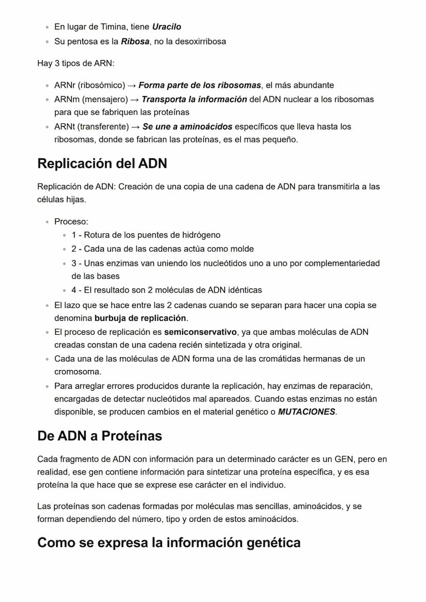 Información
ADN y ácidos nucleicos
• El ADN es la molécula que almacena la información genética de una célula y por tanto
del individuo que 