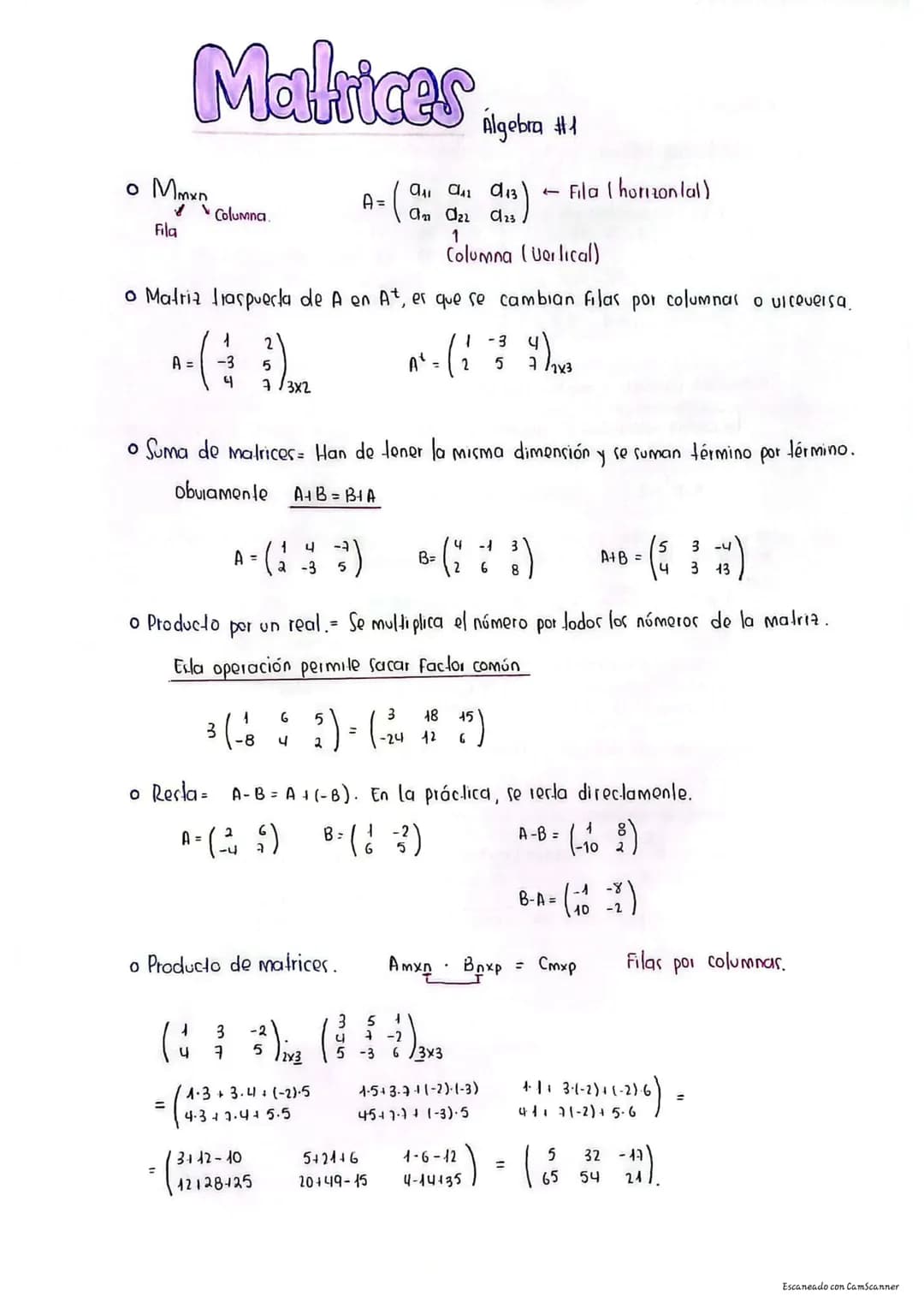 
<h2 id="introduction">Introduction</h2>
<p>Matrices play a significant role in high school mathematics, especially in the field of algebra 
