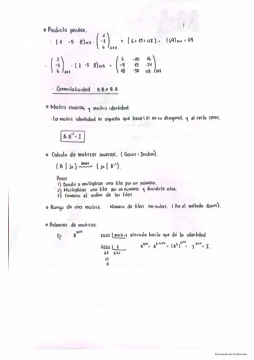 
<h2 id="introduction">Introduction</h2>
<p>Matrices play a significant role in high school mathematics, especially in the field of algebra 