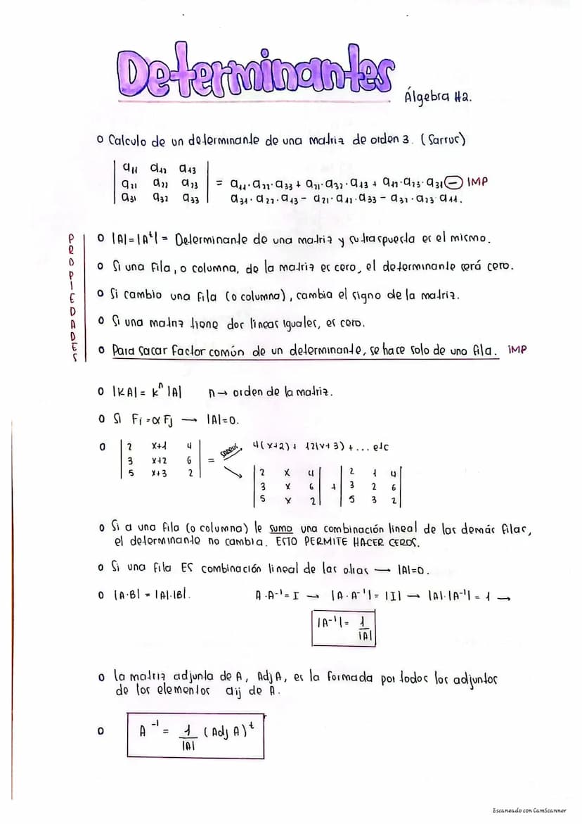 
<h2 id="introduction">Introduction</h2>
<p>Matrices play a significant role in high school mathematics, especially in the field of algebra 