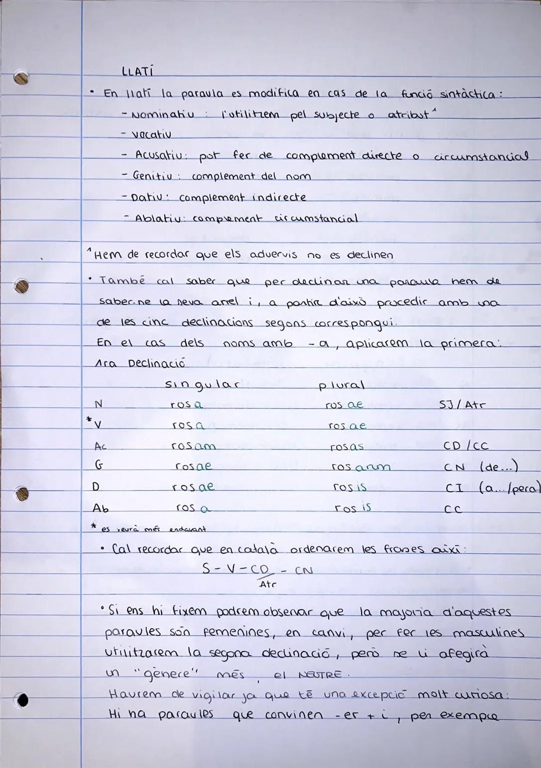 Gramàtica Llatina - Aprèn les Bases del Llatí