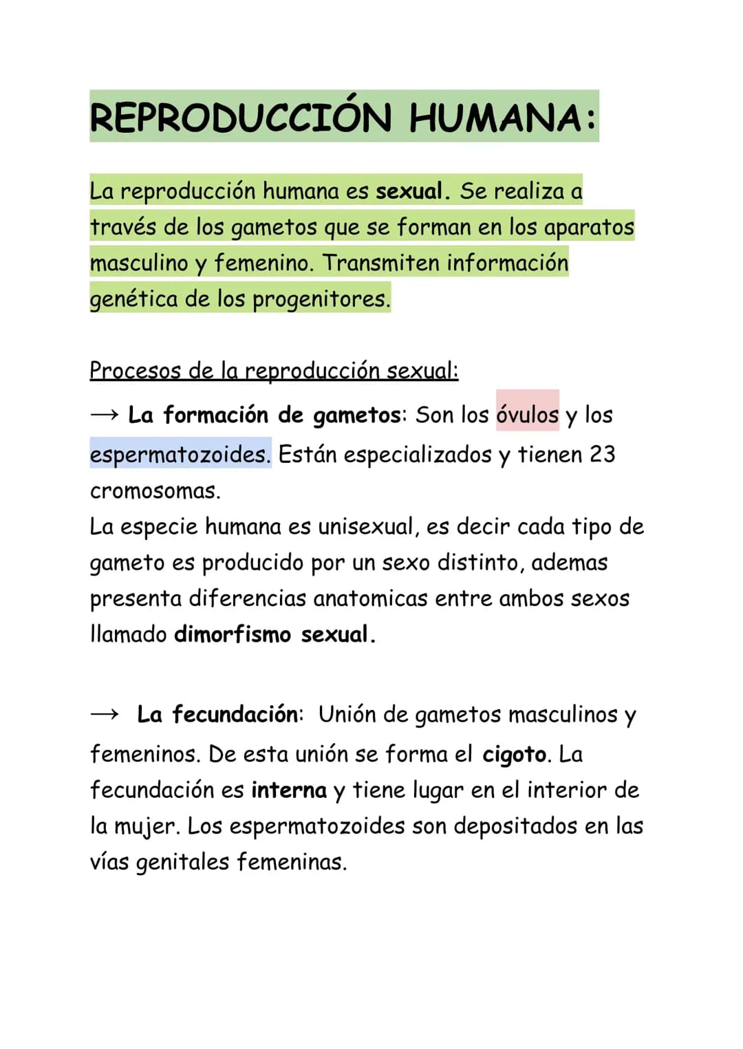 Aparatos reproductores
