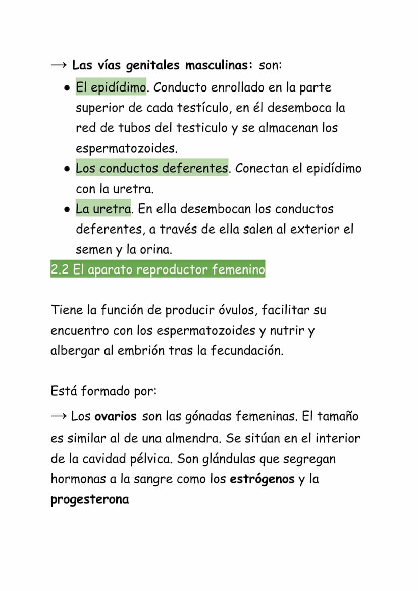 REPRODUCCIÓN HUMANA:
La reproducción humana es sexual. Se realiza a
través de los gametos que se forman en los aparatos
masculino y femenino