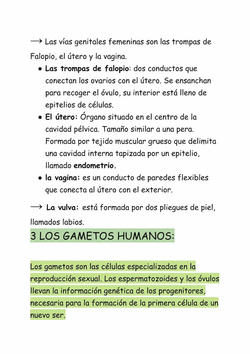REPRODUCCIÓN HUMANA:
La reproducción humana es sexual. Se realiza a
través de los gametos que se forman en los aparatos
masculino y femenino