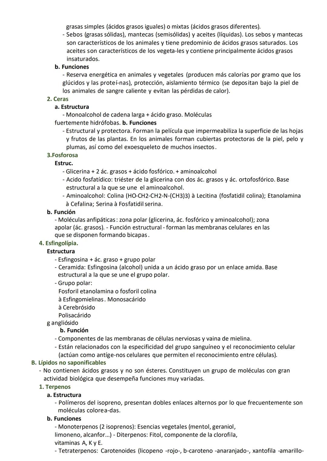 I. CONCEPTO
- Biomoléculas orgánicas formadas por C, H y O; en algunos casos
también P y N. - Químicamente heterogéneos.
- Insolubles en agu