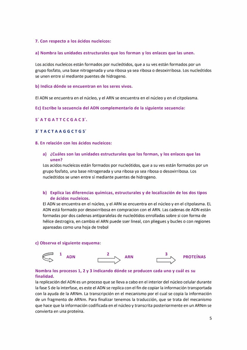 ÁCIDOS NUCLEICOS
1. Con respecto a los ácidos nucleicos:
a) la estructura de los monómeros que forman el DNA.
Los nucleótidos están formados